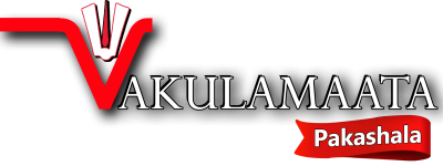 vakulamaata new png without